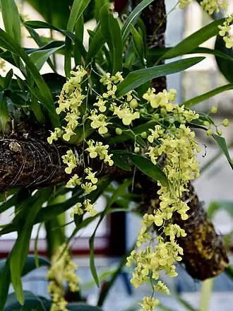 alternativní popis obrázku chybí