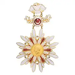 Řádový odznak, vzor užívaný do roku 2013