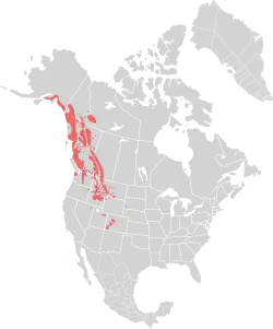 Areál rozšíření