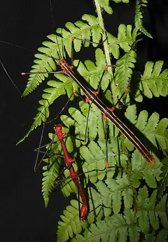 alternativní popis obrázku chybí