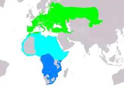 Rozšíření žluvy hajní (zeleně hnízdiště, tyrkysově tah, modře zimoviště)