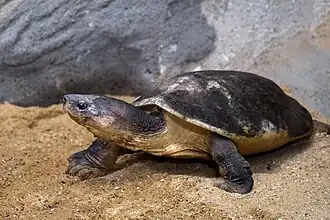 alternativní popis obrázku chybí