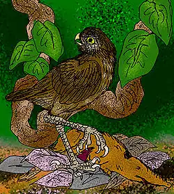 alternativní popis obrázku chybí