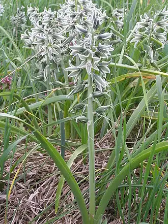 alternativní popis obrázku chybí