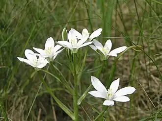 alternativní popis obrázku chybí