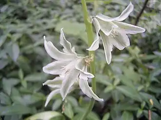 alternativní popis obrázku chybí