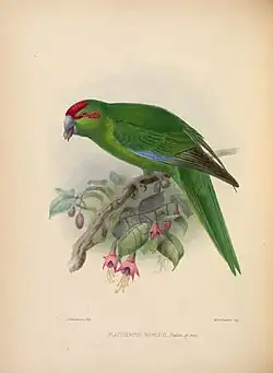Johannes Gerardus Keulemans (1877)