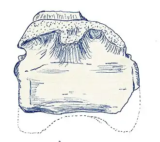 popis obrázku chybí