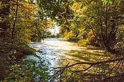 Ornstova jezera u Věkoše – mrtvé rameno řeky Labe