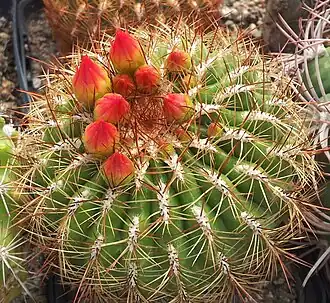 alternativní popis obrázku chybí