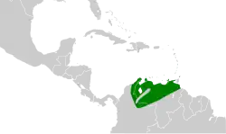 Areál rozšíření