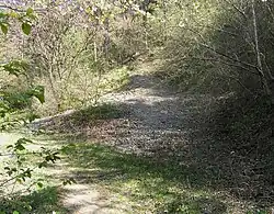 Orthocerový lůmek u Lochkova