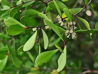 alternativní popis obrázku chybí