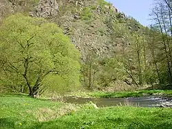 Řeka Oslava pod Levnovem