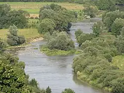 Osława ve Wielopolu