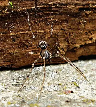 alternativní popis obrázku chybí