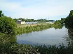 Poloostrov v hněvickém katastru