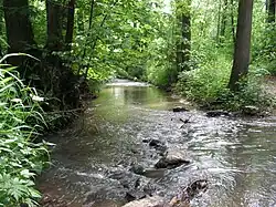 Ostrovský potok u Zruče nad Sázavou