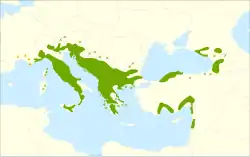Areál rozšíření