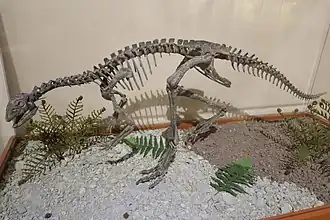 alternativní popis obrázku chybí