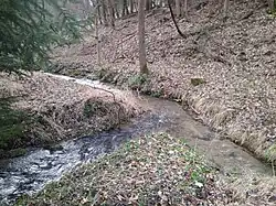 Soutok Tomášovského a Ottendorfského potoka