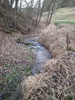 Potok nad soutokem s Tomášovským potokem