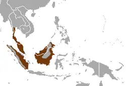 Areál rozšíření