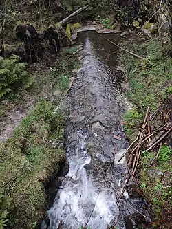 Otupnianka vytékající z Vrbického plesa