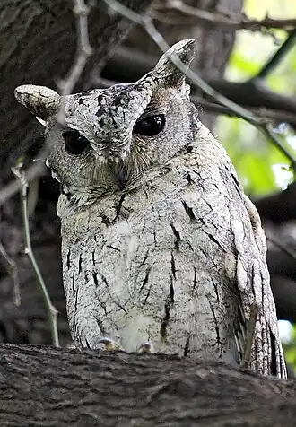 alternativní popis obrázku chybí