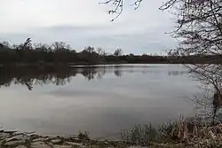 Červený rybník na Želetavce v Jemnici