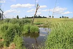 Račický potok u Račic