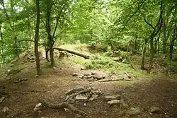 Pohled na lokaci Sedleckého hradu