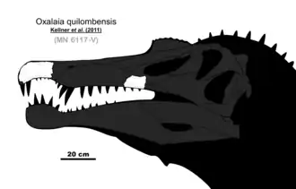 popis obrázku chybí