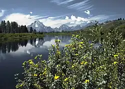 Grand Teton
