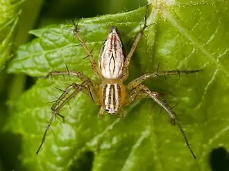 alternativní popis obrázku chybí