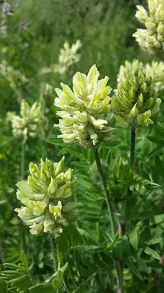 alternativní popis obrázku chybí