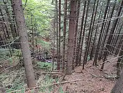 Pohled na Páteční potok a vodopády z lesní cesty