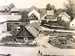 Pávice v první polovině 20. století