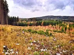 Písek z Malého vrchu