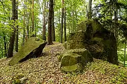 Pískovce na Zámeckém vrchu