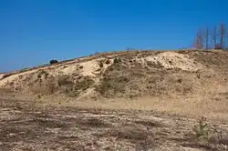 Pískovna u Dračice