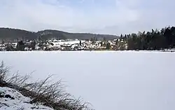 Pístovický rybník