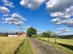 Příjezdová cesta do Zálužic, vpravo rybník Bezdrev