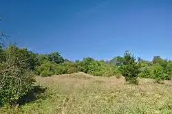 Přírodní památka Brus