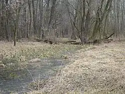 Dolní mušovský luh (2013)