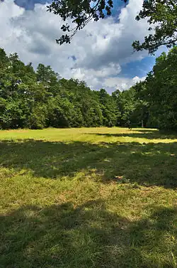 Přírodní památka Horní Bělá