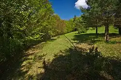 Přírodní památka Křižník