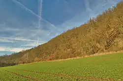 Jižní okraj Lebeďáku