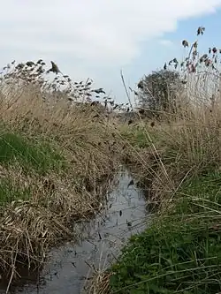 Přírodní památka Lukavecký potok