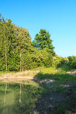 Přírodní památka Michnovka-Pravy